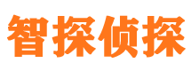 三山侦探公司